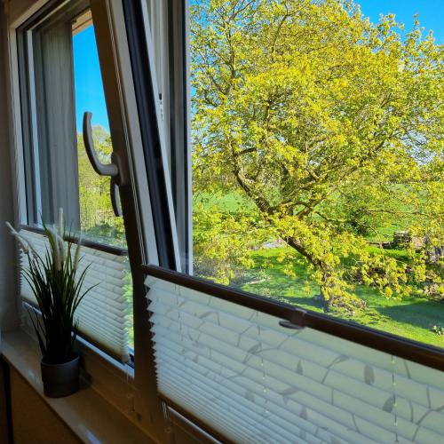 Ferienwohnung Rhodoblüte